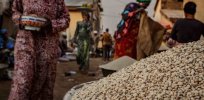 Public comments reveal overwhelming support for GM cowpea in Ghana