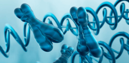 Many men have an extra X or Y chromosome — and it could increase risks of diabetes, heart disease and infertility