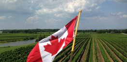 Consumer paradox: As media turn less negative on genetically modified crops, Canadian consumers remain ambivalent about innovative food products