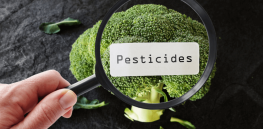 Viewpoint: No, trace pesticides do not make fruits and vegetables unhealthy