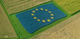Viewpoint: Will new breeding techniques help make European agriculture more competitive?