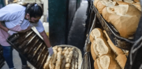 In reversal from prior surveys, Brazilians welcome introduction of drought-tolerant GMO wheat