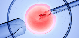 IVF success rate is 30%. Genetic factors more than environment may explain why it’s so unsuccessful