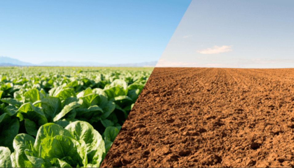 climate-action-farming-what-farmers-need-to-do-to-adapt-as-our-planet