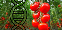 Gene editing makes list of top 6 agricultural technology innovations