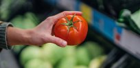 Not getting enough sunlight? Vitamin D-boosted gene edited tomatoes could improve nutrition for a billion nutrient-deficient people
