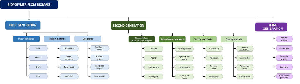 biomass gens x