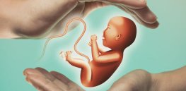 DNA embryo screening: Huge gap between science behind polygenic scoring and parental desires to pick the ‘perfect kid’