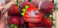 Organic fresh strawberries potentially linked to hepatitis outbreak in US and Canada