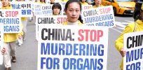 ‘Execution by organ donation’: China accused of forcibly removing organs from prisoners