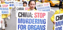 ‘Execution by organ donation’: China accused of forcibly removing organs from prisoners