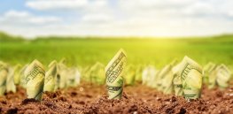 Using cost-benefit analysis: Crop biotechnology offers sizable yield and sustainability benefits when compared to non-GM farming
