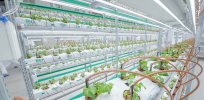 Farming of the future: Can precision indoor farming create an alternative food system?