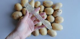 Bioplastics and fuel from potatoes? CRISPR gene editing could make it possible