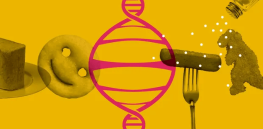 Podcast: Gene editing and public acceptance — Agricultural economist Brandon McFadden on regulatory differences in agriculture and medicine for using CRISPR