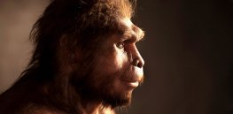 ‘Mosaic nature of human evolution’: At what point did we become human?