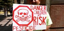 Environmental activist irony: Anti-chemical campaigners end up promoting higher food prices with few farming or health benefits
