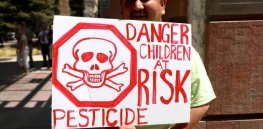 Environmental activist irony: Anti-chemical campaigners end up promoting higher food prices with few farming or health benefits