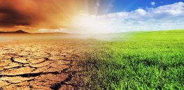Study: How GMOs and crop gene editing can increase genetic diversity and help contain climate change