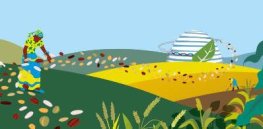 ‘Solving Africa’s food challenges': Will anti-GMO activists and other market obstacles block adoption?