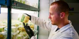 Gene-edited foods are advancing fast—but commercialization and consumer acceptance lag