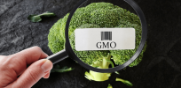 How and why gene editing faces fewer global regulations than GMOs