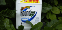 Viewpoint: ‘Would they know it if they saw it?’ Judge who ruled glyphosate could be carcinogenic demonstrates ignorance of science