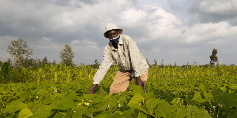 Video: Erratic weather from climate change is biggest threat facing Kenyan crops. Gene-editing technology could help, farmer says