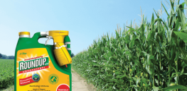 Viewpoint: Another science review challenges activist claim that glyphosate in urine poses heath dangers