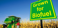India debates new ways to make biofuels as sustainability threats rise