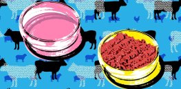 European Parliament: Global meat consumption has doubled in two decades, exacerbating climate change. Sustainably growing animal protein with yeast and bacteria could help