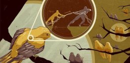 ‘Genetic bottlenecks’: How war, famine and disease contributed to human evolution