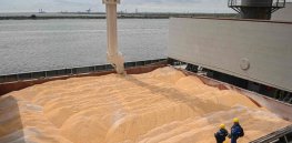 Viewpoint: War and global food crisis takes sharp toll on organic market. Maybe it’s time for a more sustainable alternative?