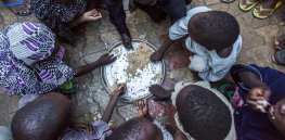 Viewpoint: Millions face food insecurity. Following ‘green hysteria’ in rejecting pesticides and fertilizers will make this crisis worse