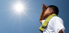 Hungry after spending time in the summer sun? Male hormones could be the cause