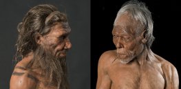 Humans are mutts: New discoveries upend long-held views of evolution