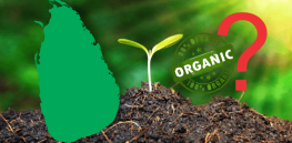 Viewpoint: Collapse of the organic-farming experiment in Sri Lanka has not shamed activist-philosopher Vandana Shiva and other GMO rejectionists