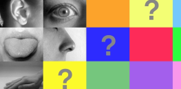 What are the genetic origins of the 5 senses?