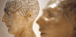 ‘Picturing the mind’: These clever illustrations help us understand how consciousness evolved