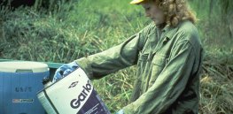 ‘Oversimplification or outright falsehood?’: ‘Banned in Europe’ and 9 other anti-pesticide factoids that are short on science