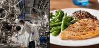 Barriers to take-off of lab grown meat market: Producing cultured food at scale