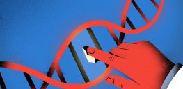 ‘Engineering safety’: How we can improve CRISPR for wider use in medicine and agriculture
