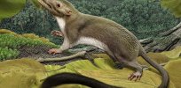 ‘Fast burst evolution’: Warm-blooded animals appear to have evolved very suddenly, enabling larger brains and higher levels of activity