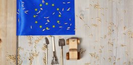 Viewpoint: Europe’s Green Deal Farm to Fork strategy brings innovation possibilities — but economic trade-offs are costly