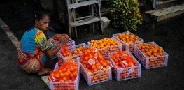 British Medical Journal: Sri Lanka’s organic extremism led to an economic collapse and ‘devastating health consequences’