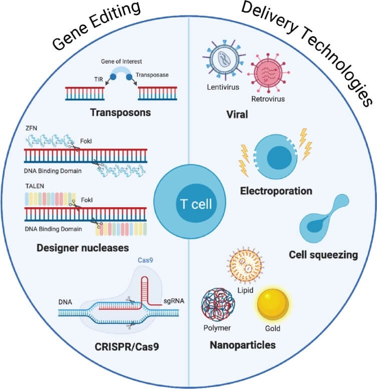 CRISPR is already transforming medicine. Next up? Addressing climate ...