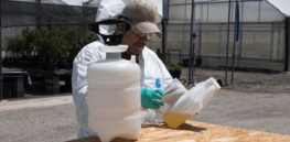 From 72 to 400: US announces expansion of number of agricultural chemicals it will monitor