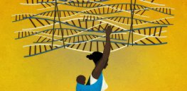 How biotechnology can protect indigenous ‘orphan crops’ from disease and boost economic growth