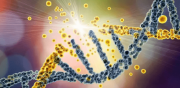 Could CRISPR gene editing raise cancer risks?