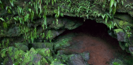 Could alien life survive harsh environments? Green slime dug up in lava caves offers an intriguing theory
